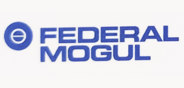 FEDERAL MOGUL